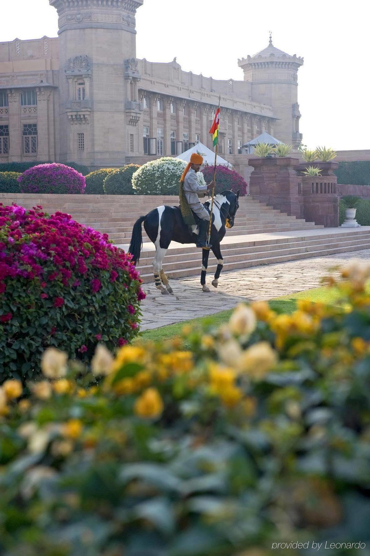 Umaid Bhawan Palace Jodhpur Jodhpur  Extérieur photo